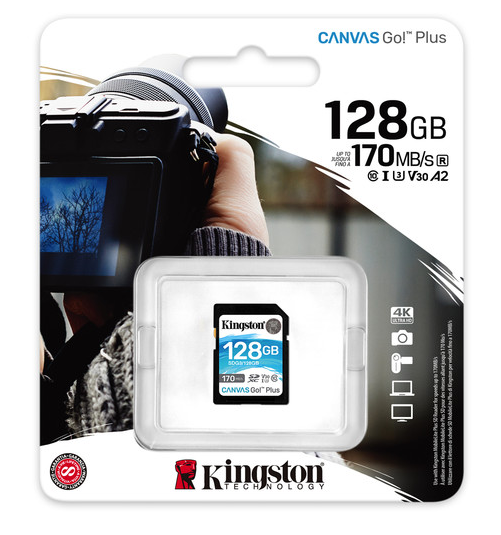 Ormocnet Kingston 128GB SDXC Canvas Go Plus 170MBs Read Memory Card SDG3 128GB