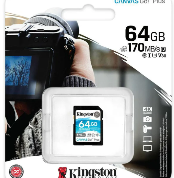 Ormocnet Kingston 64GB Canvas Go Plus SDXC Card up to 170MBs UHS-I, C10,U3,V30 SDG3 64GB